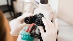 Новый биомаркер поможет отличить бактериальную инфекцию от тяжёлого колита&amp;nbsp;&amp;nbsp;