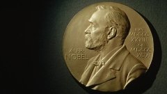 13 удивительных фактов о Нобелевской премии по физиологии и медицине