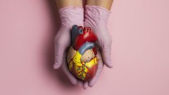 В Киеве 16-летнему пациенту пересадили сердце, доставленное вертолетом из Винницы /freepik