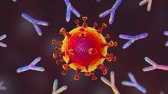 Конъюгаты – эволюция моноклональных антител: фармгиганты скупают новые препараты от рака