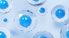 Quintessence Biotech дебютує з першою «живою» штучною клітиною