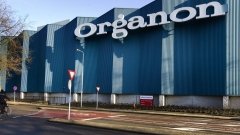 Organon запустить кампанію з запобігання незапланованим вагітностям