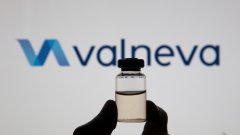 Valneva зарегистрировала вакцину против чикунгуньи