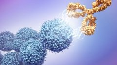 I-Mab приостанавливает разработку антитела против CD73