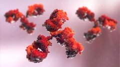 Китайское антитело превзошло Keytruda при раке легких