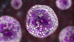 Breyanzi разрешили применять для лечения лимфомы маргинальной зоны