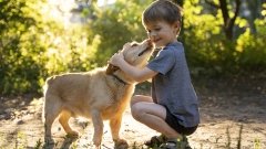 Киевлян призывают защитить домашних питомцев от клещей /freepik