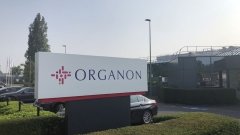 Organon придбала права на біосиміляр Actemra