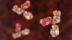 GSK и iTeos отказываются от антитела против TIGIT