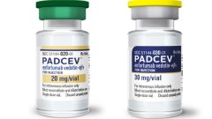 Перемога першої лінії: Padcev посилив Keytruda в умовах нелікованого раку сечового міхура