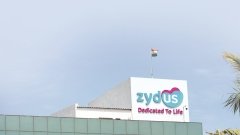 Formycon и Zydus Lifesciences будут распространять копии Keytruda в США и Канаде