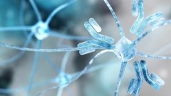 Maze Therapeutics перевела свой препарат от БАС в скрытую компанию