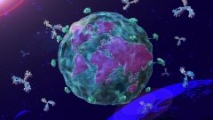 Dren Bio разработает для Sanofi ещё одно антитело