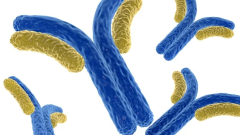Jasper Therapeutics испытала антитело от крапивницы