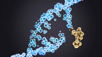 Антиоксидантні ферменти приходять на допомогу при пошкодженні ДНК