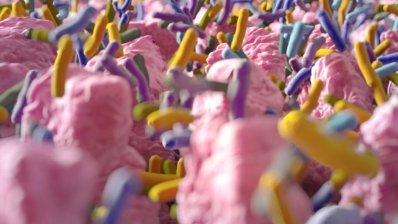 MaaT Pharma перевірила безпеку мікробіомного іммуномодулятора