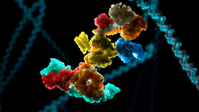 Vico Therapeutics успішно випробувала препарат від хвороби Хантінгтона