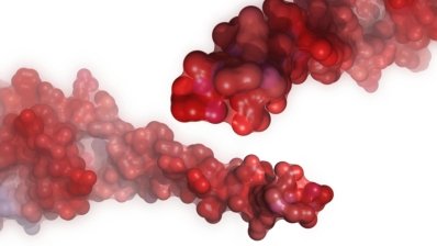 Онкогенний протеїн вдалося заблокувати завдяки інженерному пептиду