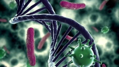 Перепроектування генетичного коду створює «фаєрвол» для патогенів