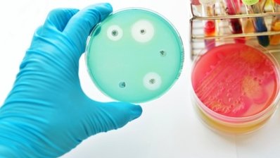 антибіотик резистентність дослідження /Shutterstock