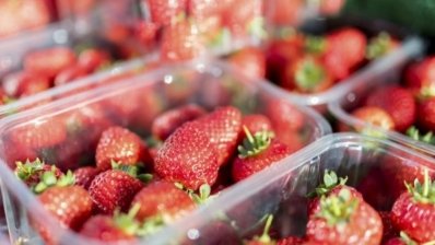 Запропоновано ефективний підхід до виявлення «фальшивих» продуктів