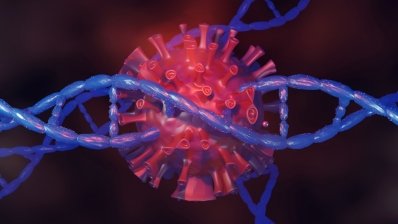 От инфекций нас защищает древняя вирусная ДНК