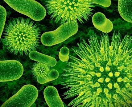 Резистентные бактерии ежегодно уносят жизни 33 тыс. европейцев