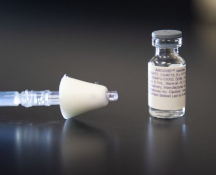 Стартуют клинические испытания назальной вакцины от COVID-19