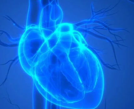 Medscape перелічив фактори, які відповідають за раптову зупинку серця у молодих людей