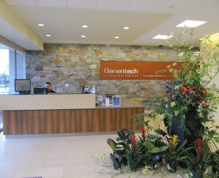 Genentech планирует увеличить штат на производстве в Хилсборо