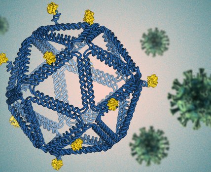 Вирусоподобные частицы – будущее генной терапии