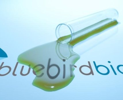 Bluebird Bio спікірувала, так і не здійснивши посадку на європейському ринку