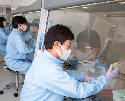 Японцы начали клинисследование препарата Favipiravir для лечения китайского коронавируса COVID-19