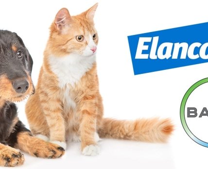 Bayer объявила о продаже своего ветеринарного бизнеса Elanco за $7,6 млрд.