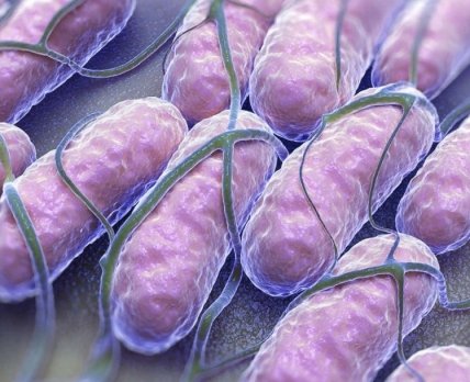 Збудник черевного тифу набуває резистентності до антибіотиків