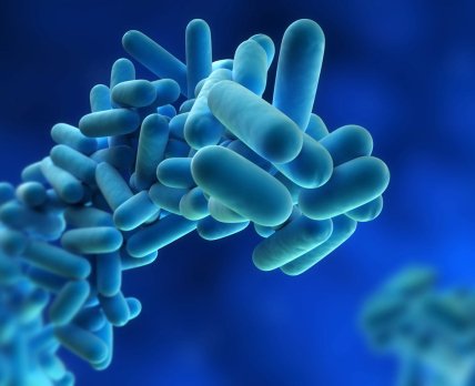 ВОЗ призвала правительства разработать план по борьбе с супербактериями
