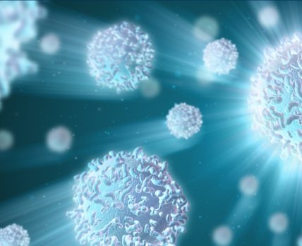 Cell Therapy сделает терапию стволовыми клетками доступной в ЕС уже в 2017 г.