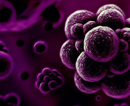 Ученые из Университета Квинс осуществили прорыв в области антимикробной резистентности