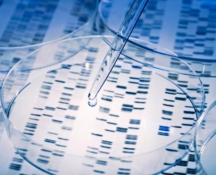 Glox Therapeutics разработает прецизионные антибиотики