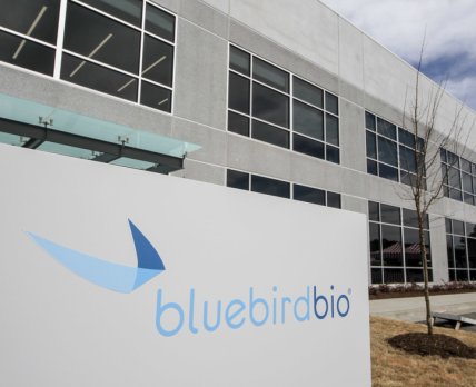 Вирусный вектор в препарате Bluebird Bio может быть небезопасным
