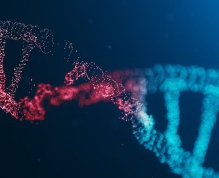 Препарат генной терапии от bluebird bio слишком часто провоцирует рак крови