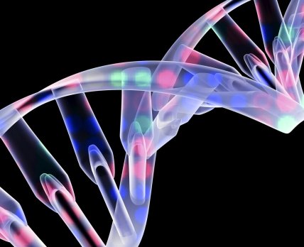 FDA одобрил потребительский генетический тест компании 23andMe