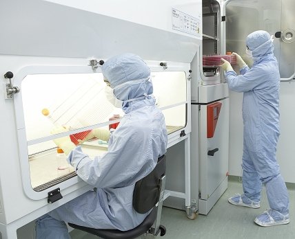 Система здравоохранения Украины требует улучшения состояния лабораторной службы, – коммерческий директор «Синэво Украина»