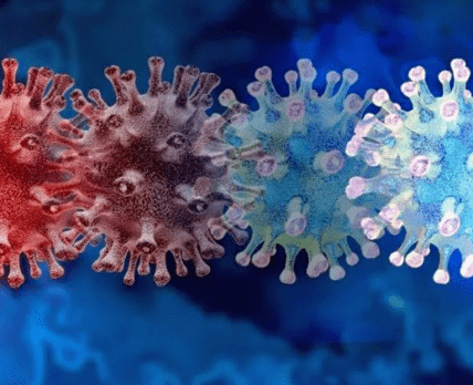 Во Франции обнаружили новый штамм коронавируса, у него 46 мутаций /Froedtert