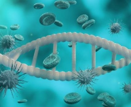 Відкриття генетиків: наші далекі предки змогли пережити епідемію коронавірусу