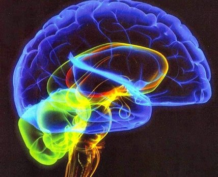 FDA одобрил устройство для глубокой стимуляции мозга при болезни Паркинсона
