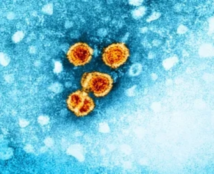 Людям, які вилікувалися від гепатиту С, варто задуматися про ревакцинацію проти гепатиту В