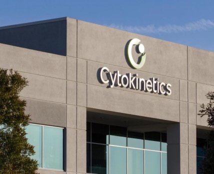 WSJ: Novartis готова викупити Cytokinetics