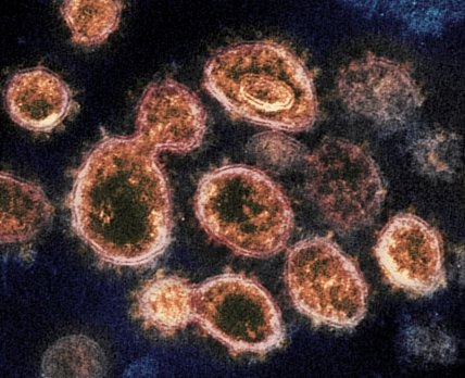 дельтакрон коронавірус нава мутація /CNN