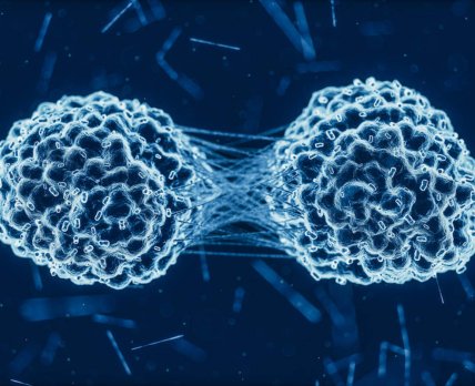 Ученые предложили новый способ лечения рака желудка, связанного с вирусом Эпштейна-Барр